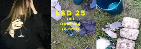 дурь Осташков