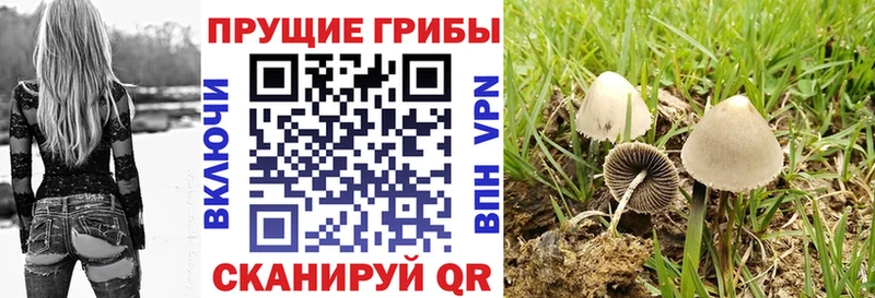 Галлюциногенные грибы мухоморы Нолинск